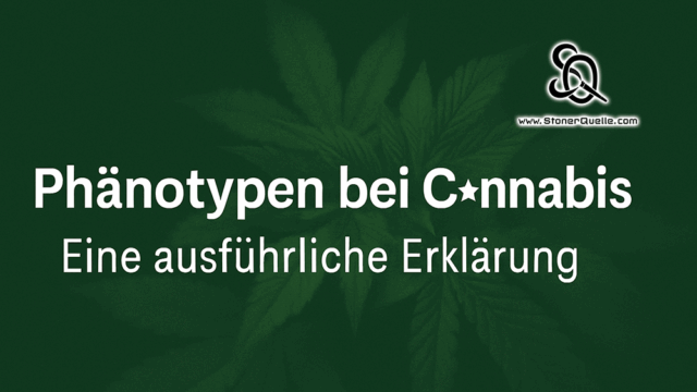 Phänotypen bei Cannabis