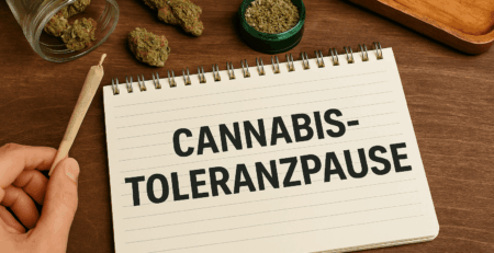Cannabis-Toleranzpause
