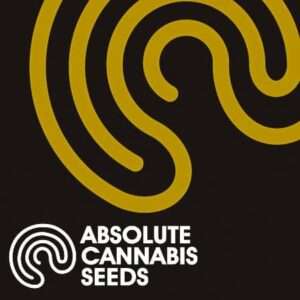 Absolute Cannabis Seeds