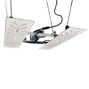 BloomStar Wingman 600L