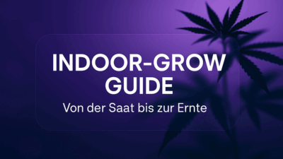 indoor grow guide
