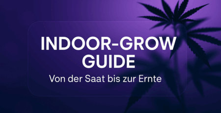indoor grow guide
