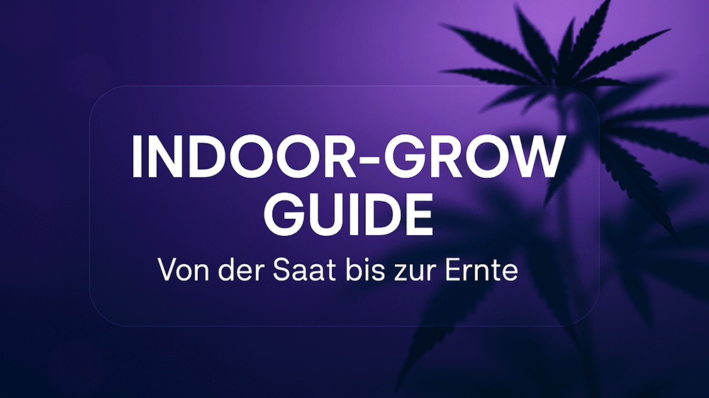 indoor grow guide