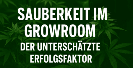 sauberkeit im growroom