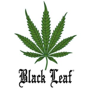 black leaf logo